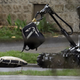 Police robot inspects car items